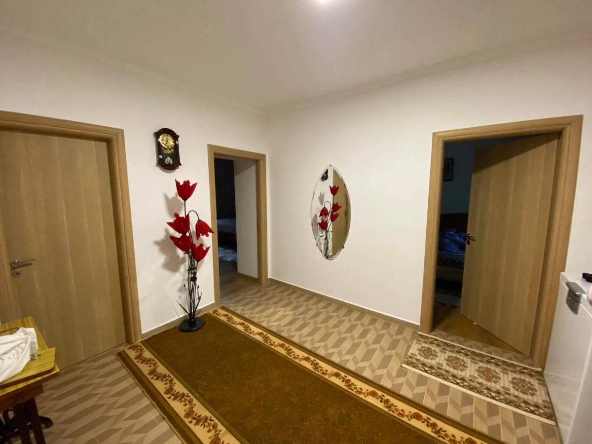 Progon House * Tepelene