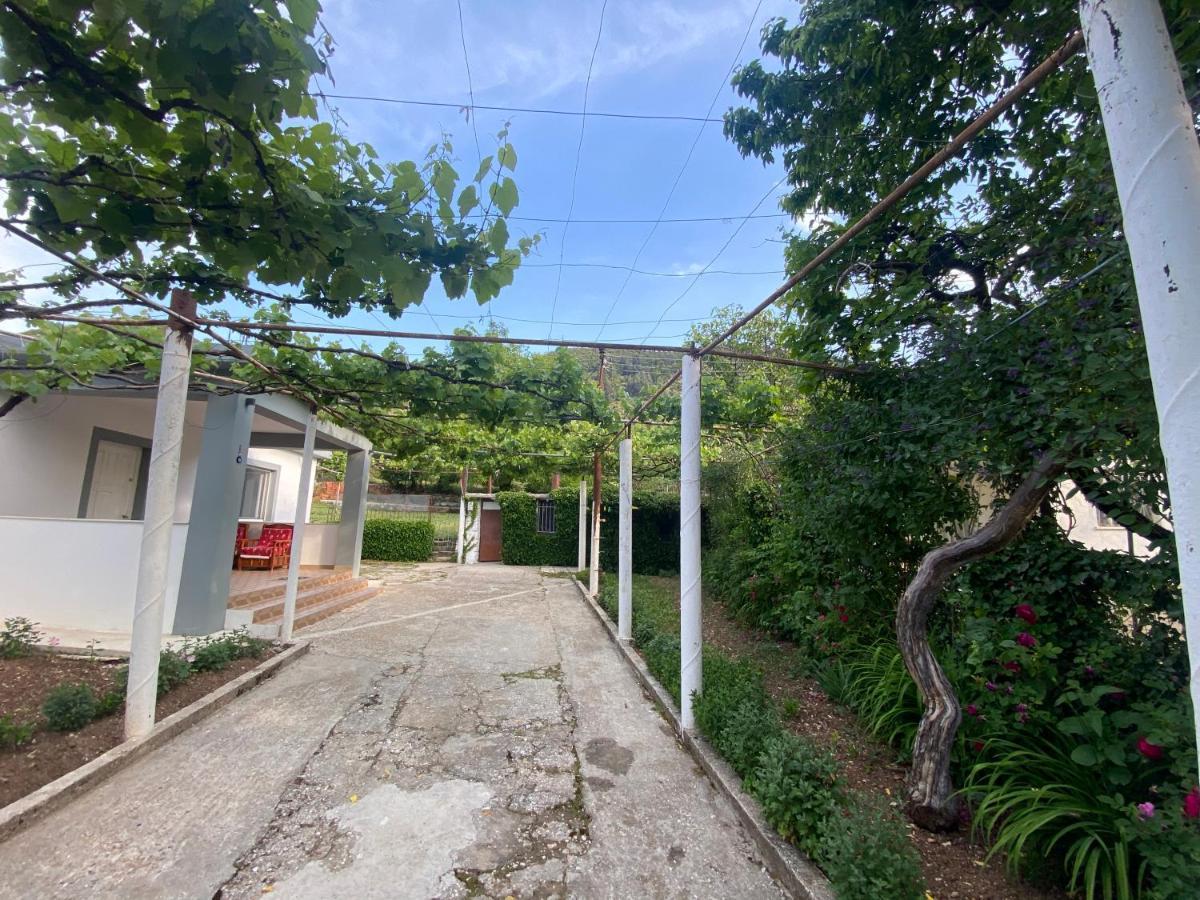 Pensjonat Progon House Tepelene