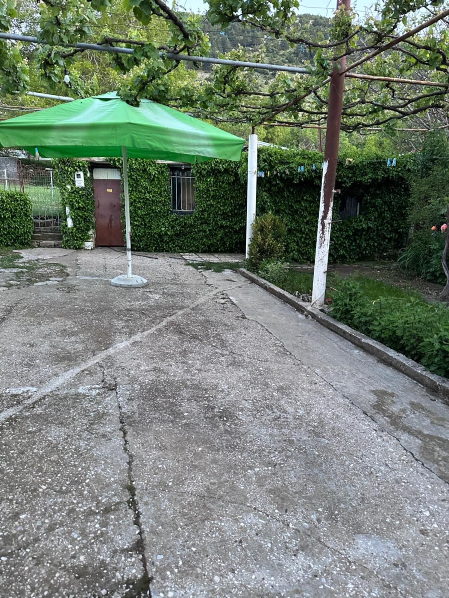 Progon House Pensjonat *